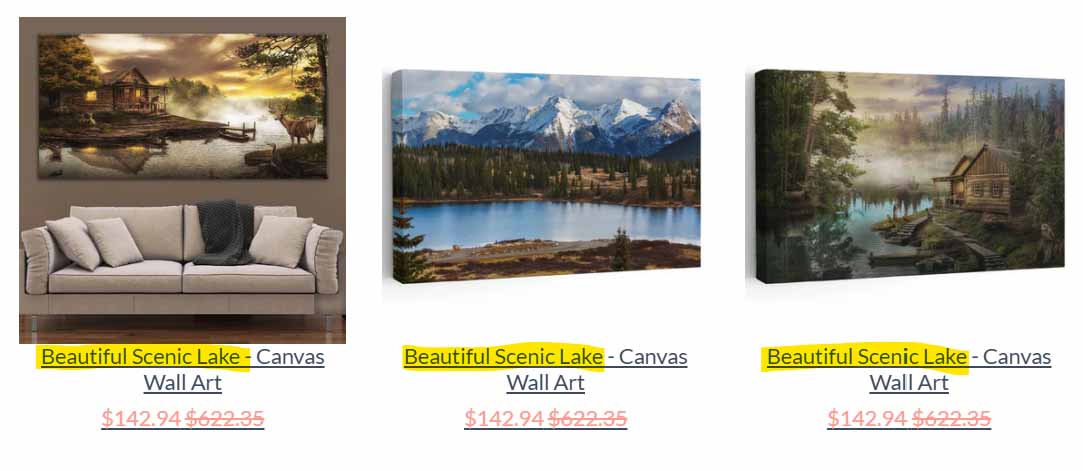 Print-on-demand store with products that over-use the same longtail keywords.